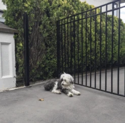 Aleko Steel Single Swing Driveway Gate - Madrid Style - 18 X 6 Feet 12 Aleko Steel Single Swing Driveway Gate - Madrid Style - 18 X 6 Feet -Home And Outdoor ScreenShot2021 02 28at4.07.28PM 2ea8e5fa 93aa 4dae 9c98 e8fd02e401a9