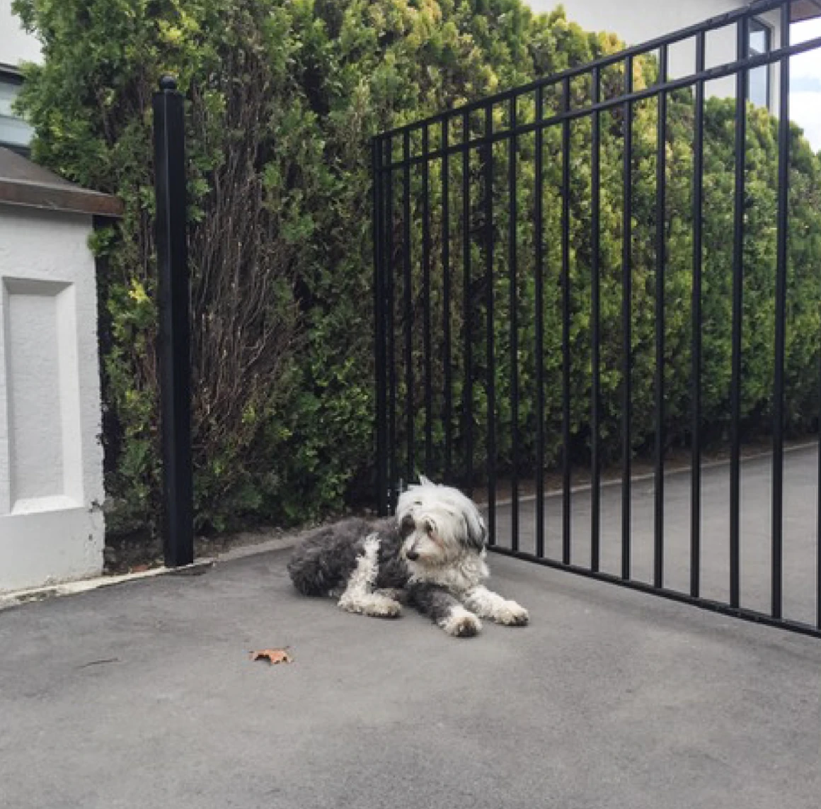 Aleko Steel Single Swing Driveway Gate - Madrid Style - 18 X 6 Feet 6 Aleko Steel Single Swing Driveway Gate - Madrid Style - 18 X 6 Feet - Image 5